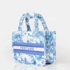Best The Positano Mini Canvas Tote Bag Tote Bags | Mini Bags